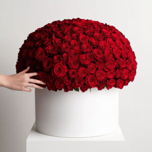 101 красная роза в белой коробке