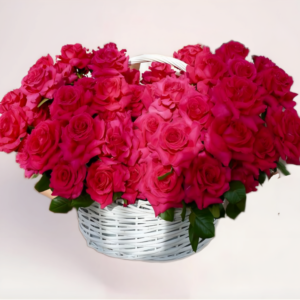 101 малиновая французская роза в корзине в Алмате
