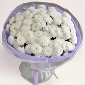 15 белых хризантем