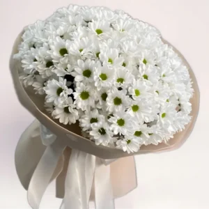 15 ромашковидных хризантем Алматы