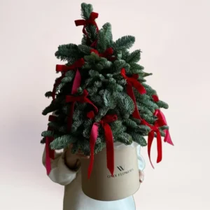 Новогодняя композиция в коробке из ели нобилис с красными лентами