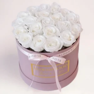 25 белых роз в коробке Алматы
