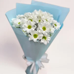 3 ромашковидных хризантемы Алматы