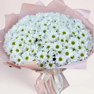 51 ромашковидная хризантема Алматы