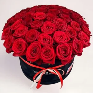 51 красная роза в коробке Алматы