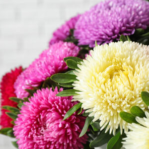 Хризантемы Алматы