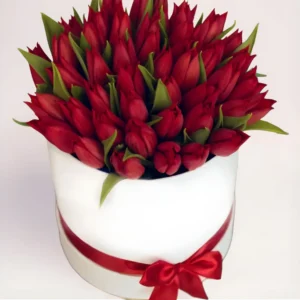 Коробка тюльпанов Алматы