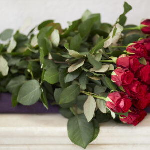 Метровые розы Алматы