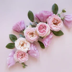 Пионы — букет пионов Алматы с доставкой