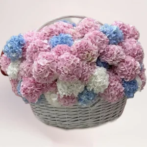 корзина с розовой и голубой гортензией
